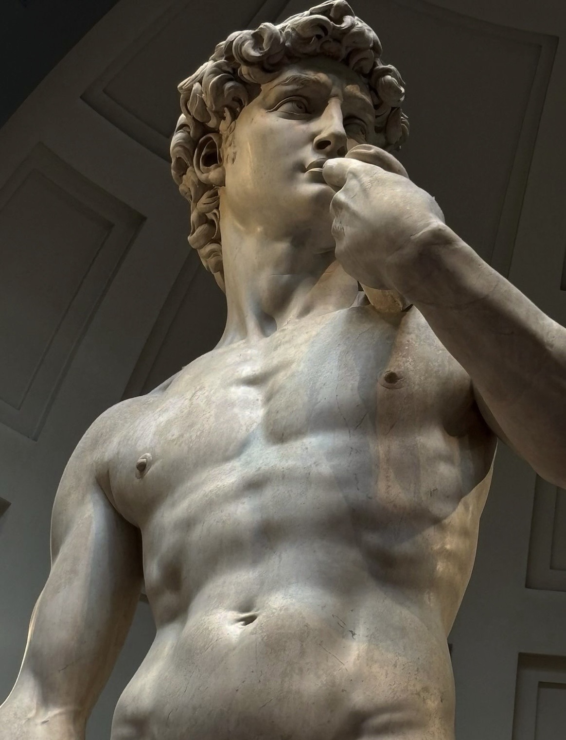 Michelangelo's David